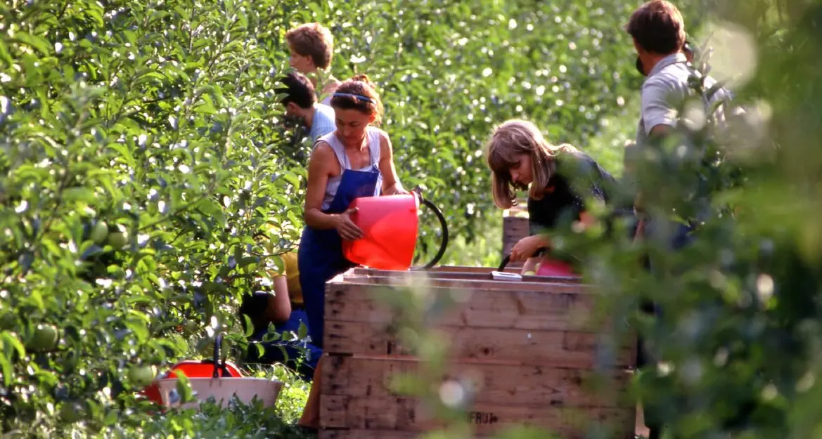 «Green new Deal» europeo Ecco le richieste a Roma delle imprenditrici agricole Cia