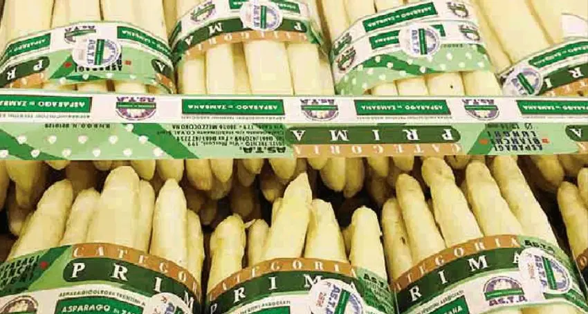 Fusione con Nave San Rocco Zambana perde il marchio degli asparagi: è «Terre d'Adige»