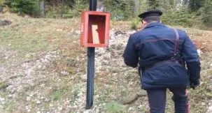 Vandali all'area camper Tognola i Carabinieri denunciano due ragazzi per danni e furto di estintori