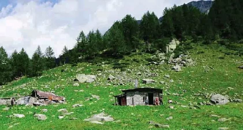 Alpeggi utilizzati solo sulla carta per incassare contributi Ue Indagine lombarda arriva a Daone