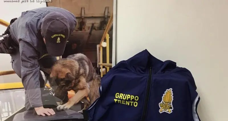 Due chili di eroina pura nell'auto di due albanese: presi dalla Finanza con i cani