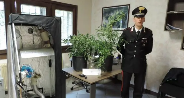 Si coltivava la marijuana a casa in un armadio-serra riscaldato: scoperto dai Carabinieri
