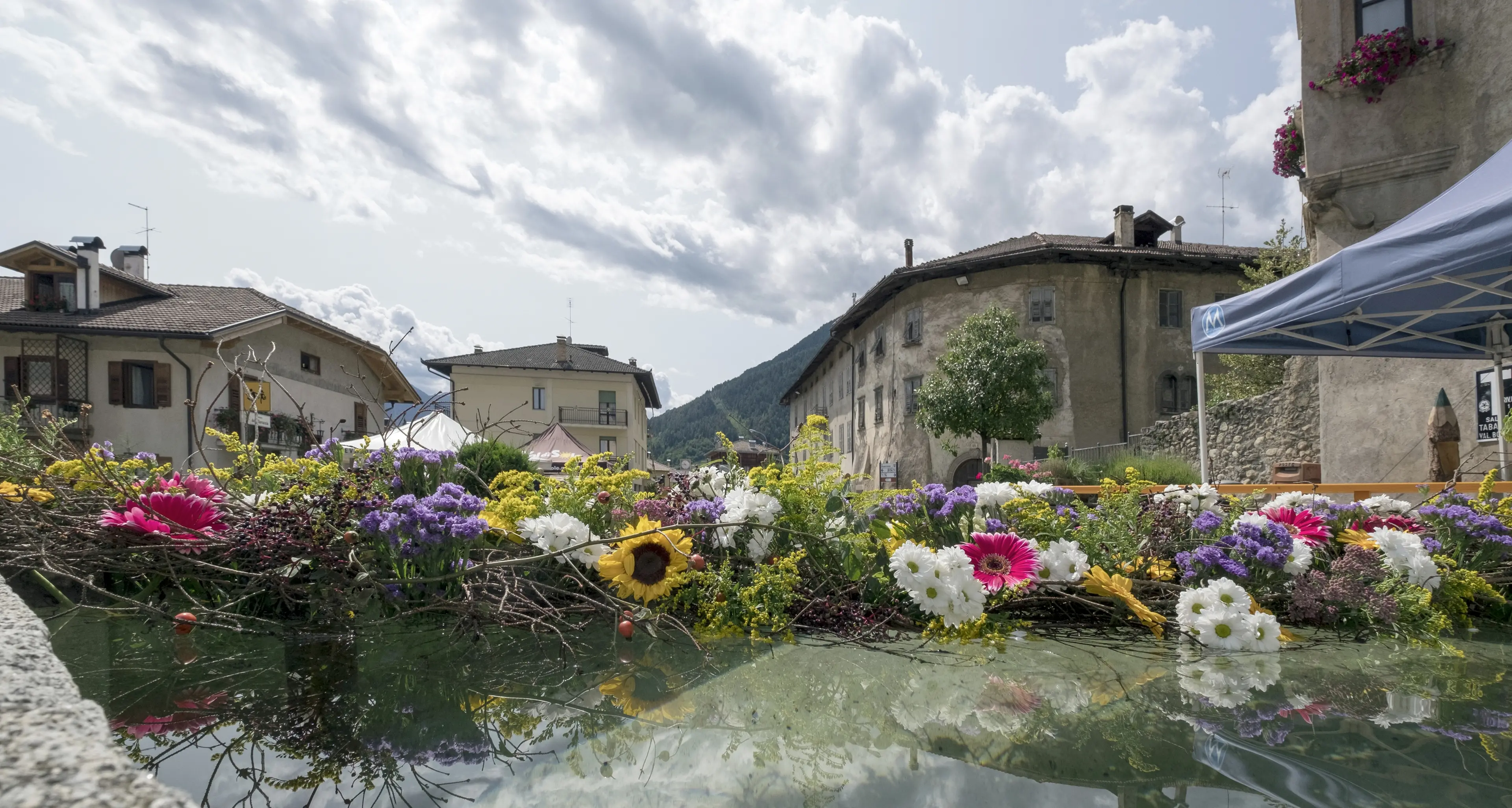 L'annuncio del ministro Fraccaro «La Val di Sole tutta biologica sarà la prima di tutta Italia»
