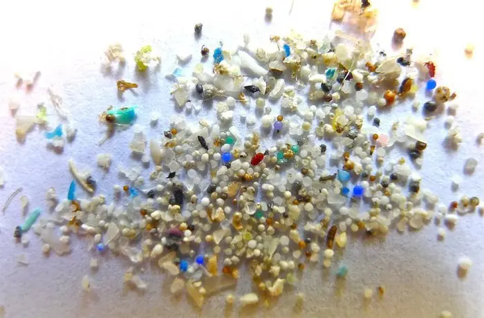 Microplastica microplastiche