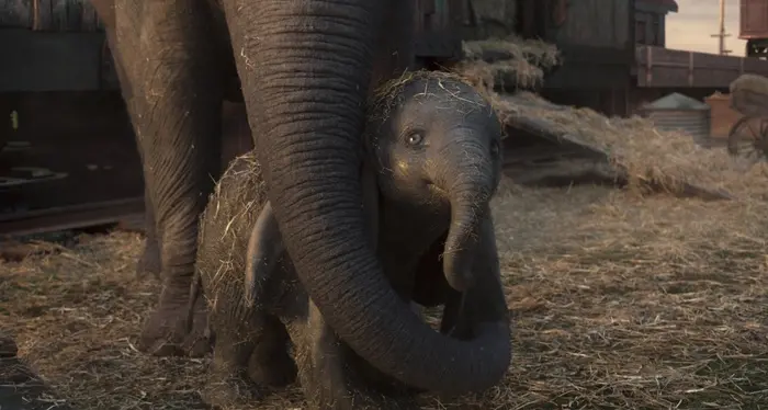 Incassi, \"Dumbo\" re del botteghino