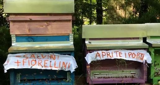 Anche le api scendono nell'arena con gli striscioni contro Salvini...