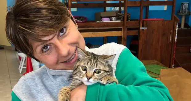 Gettato tra i rifiuti perché malato Gattino adottato e salvato