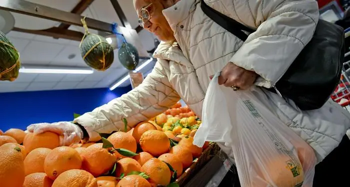 Le borse della spesa «bio» non si degradano neanche dopo tre anni in mare