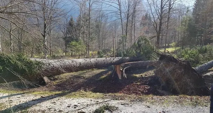 Maltempo: indennizzi in arrivo per il blackout fine ottobre