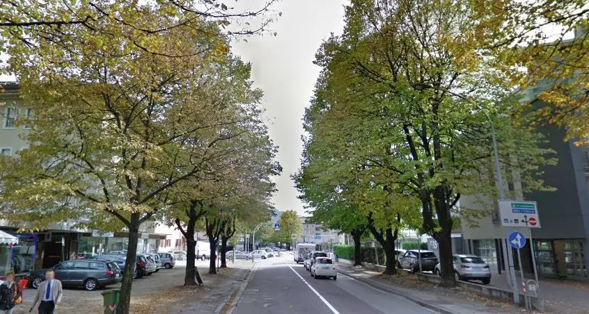Mezzolombardo, domani cantiere aperto in via Degasperi per il marciapiede e si pianteranno 38 alberi