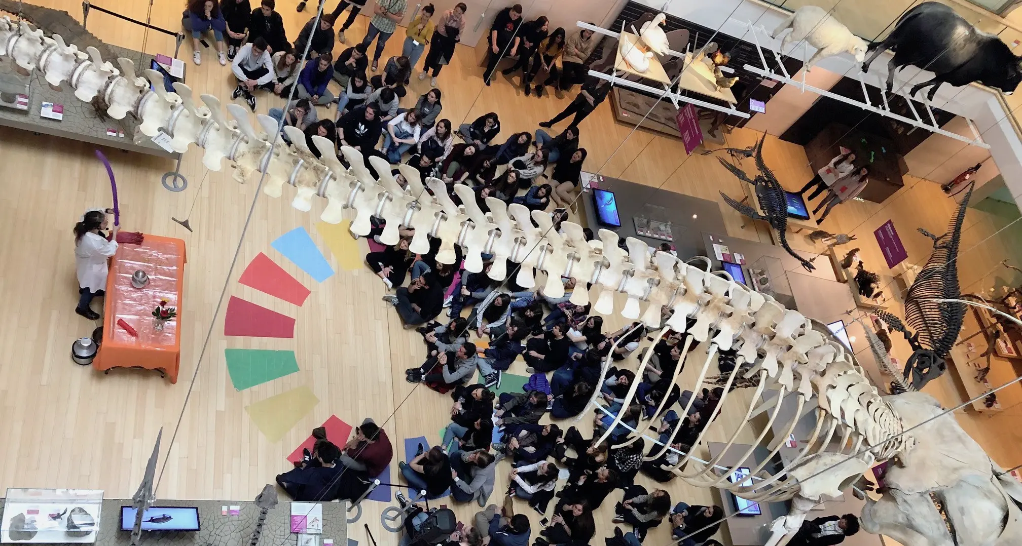 Studenti di Prati e Rosmini in assemblea al Muse: «Salva la terra, stop pesticidi»