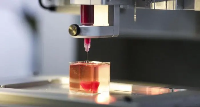 Stampato in 3D primo mini cuore, ma ancora non batte