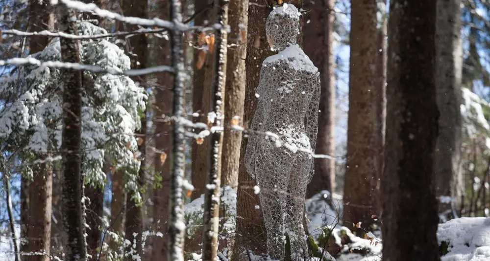 Il programma 2019 di Arte Sella da Nils Udo a Sottsas grandi nomi e tanti giovani