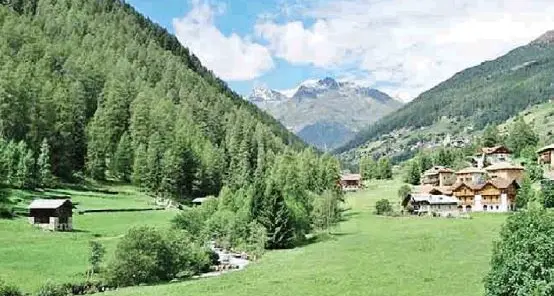 Regolamento comunale contro le colture intensive