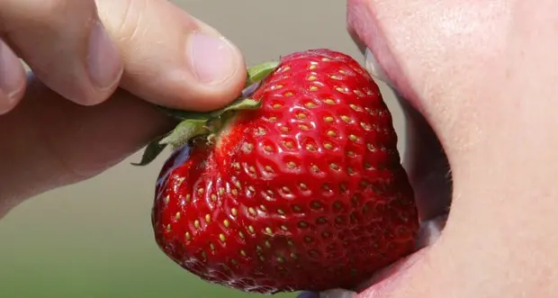 Il gusto delle fragole? Non è più lo stesso