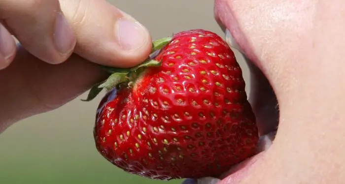 Il sapore delle fragole? Non è più lo stesso