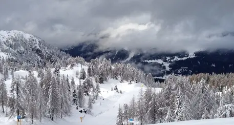 Domenica con pioggia e neve, aumenta il pericolo di valanghe