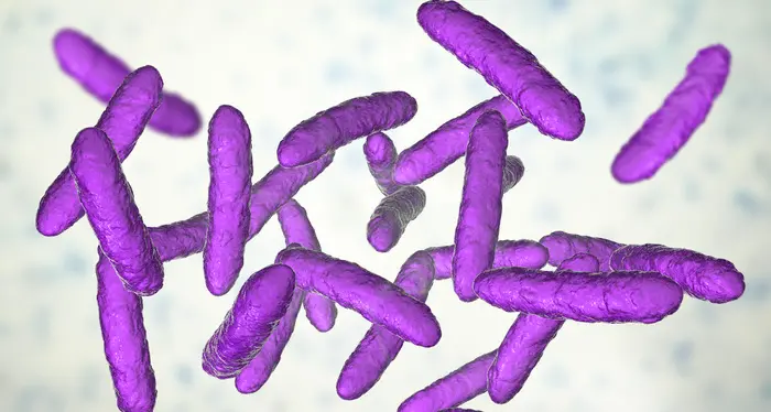 Comportamento sessuale influenza microbioma intestinale