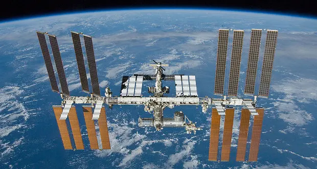 Gli americani lanceranno mini-organi umani nello spazio per studiare gli effetti