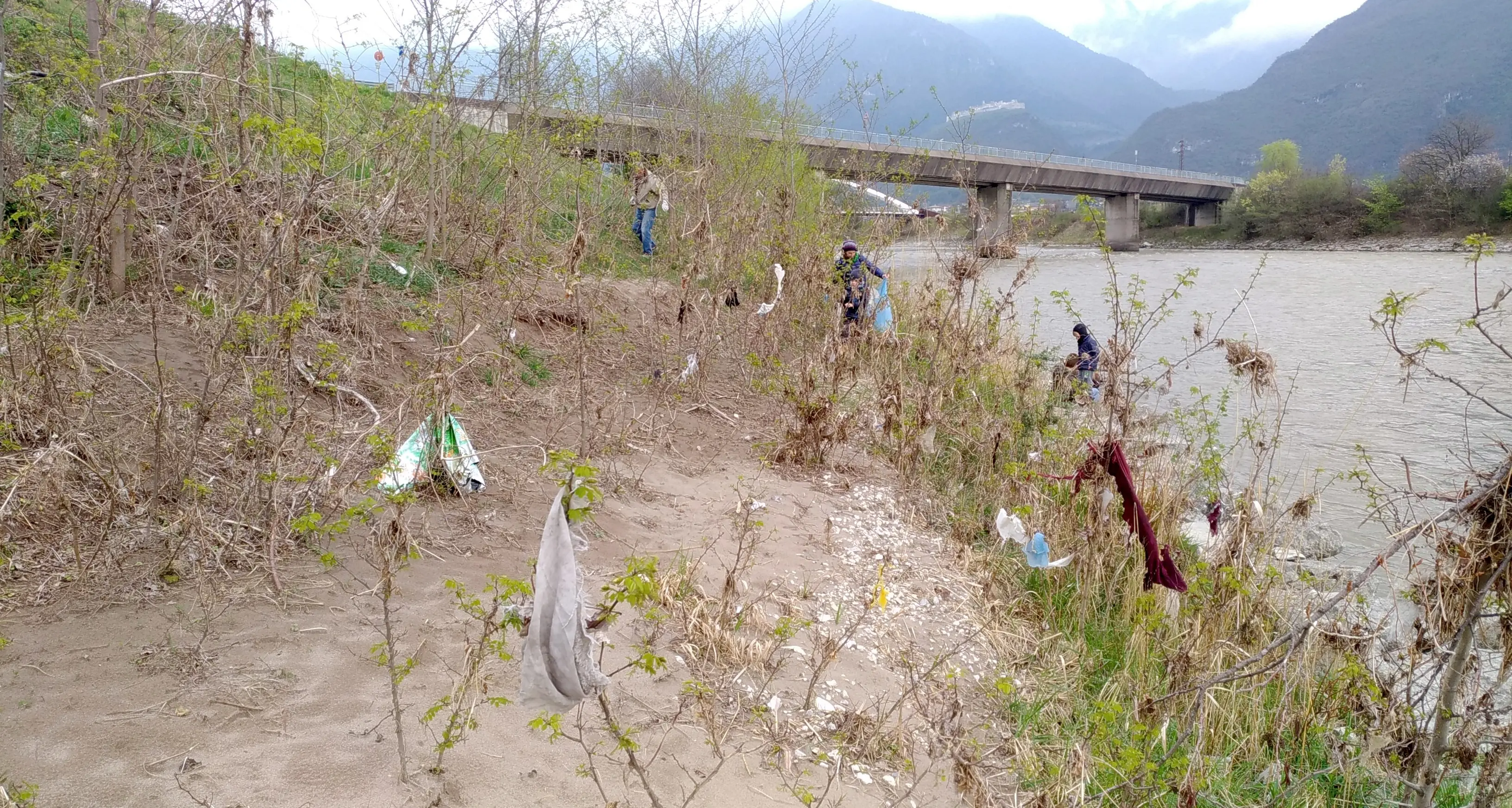 Nomi, operazione «Tomi lindi»: i volontari ripuliscono la plastica sulle rive dell'Adige