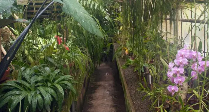 Pronto il primo orto botanico virtuale