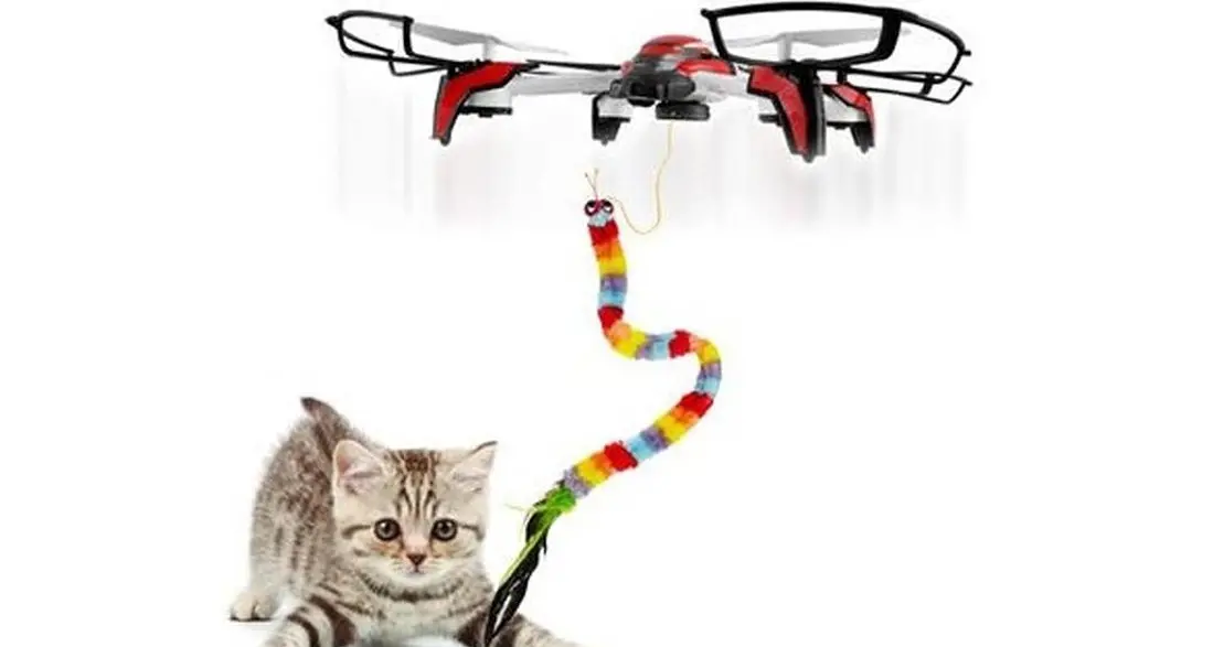 Droni e robot per tenere compagnia agli animali da compagnia
