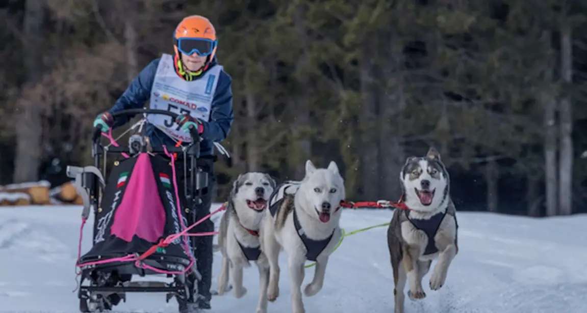 I Guadagnini: una famiglia con lo sleddog nel sangue