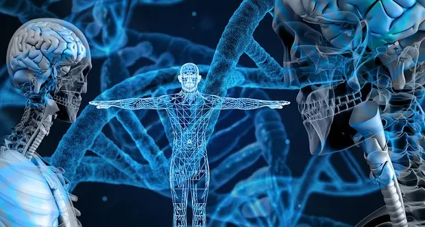 Ecco la mappa 3D del genoma umano