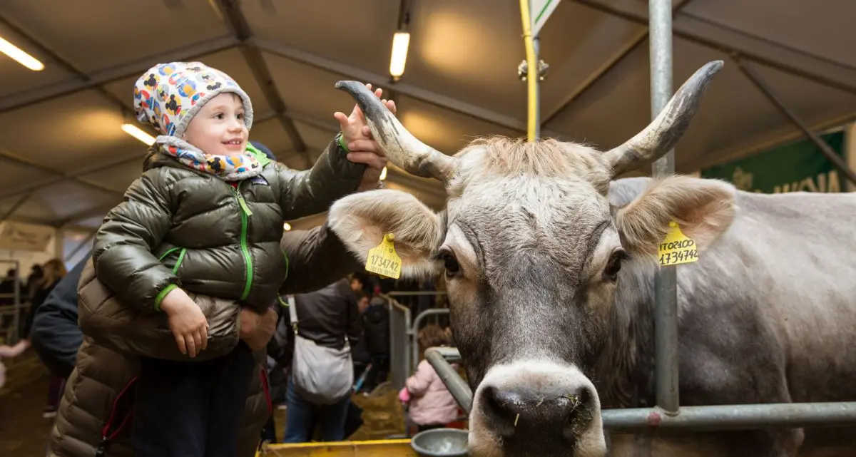 Con la Mostra dell'Agricoltura a Trento si apre oggi la due giorni della Fiera di San Giuseppe