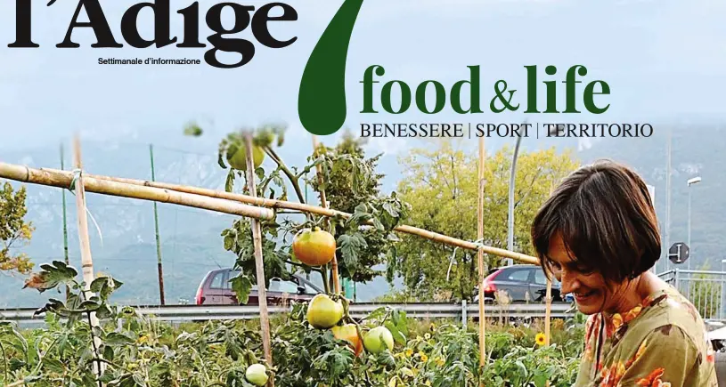 Domani gratis per i nostri lettori l'Adige7 La storia della settimana dedicata all'orto