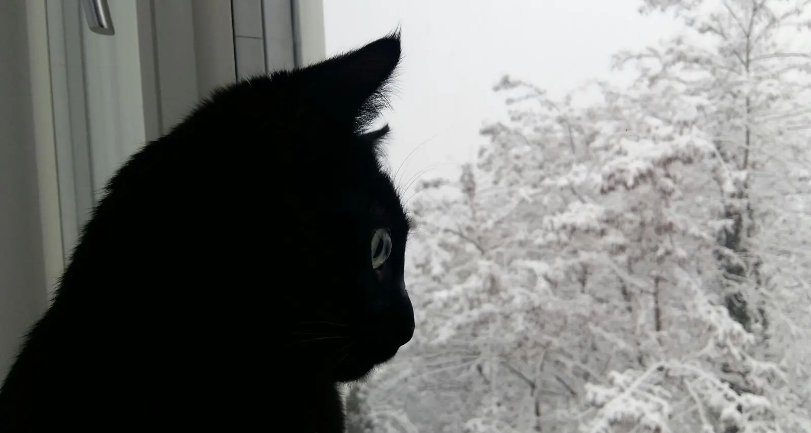 Il «gatto delle nevi» vigila sulla nevicata