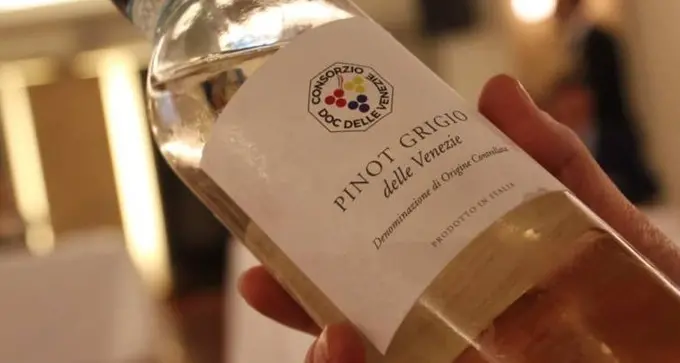 Pinot Grigio delle Venezie 176 milioni di bottiglie prodotte