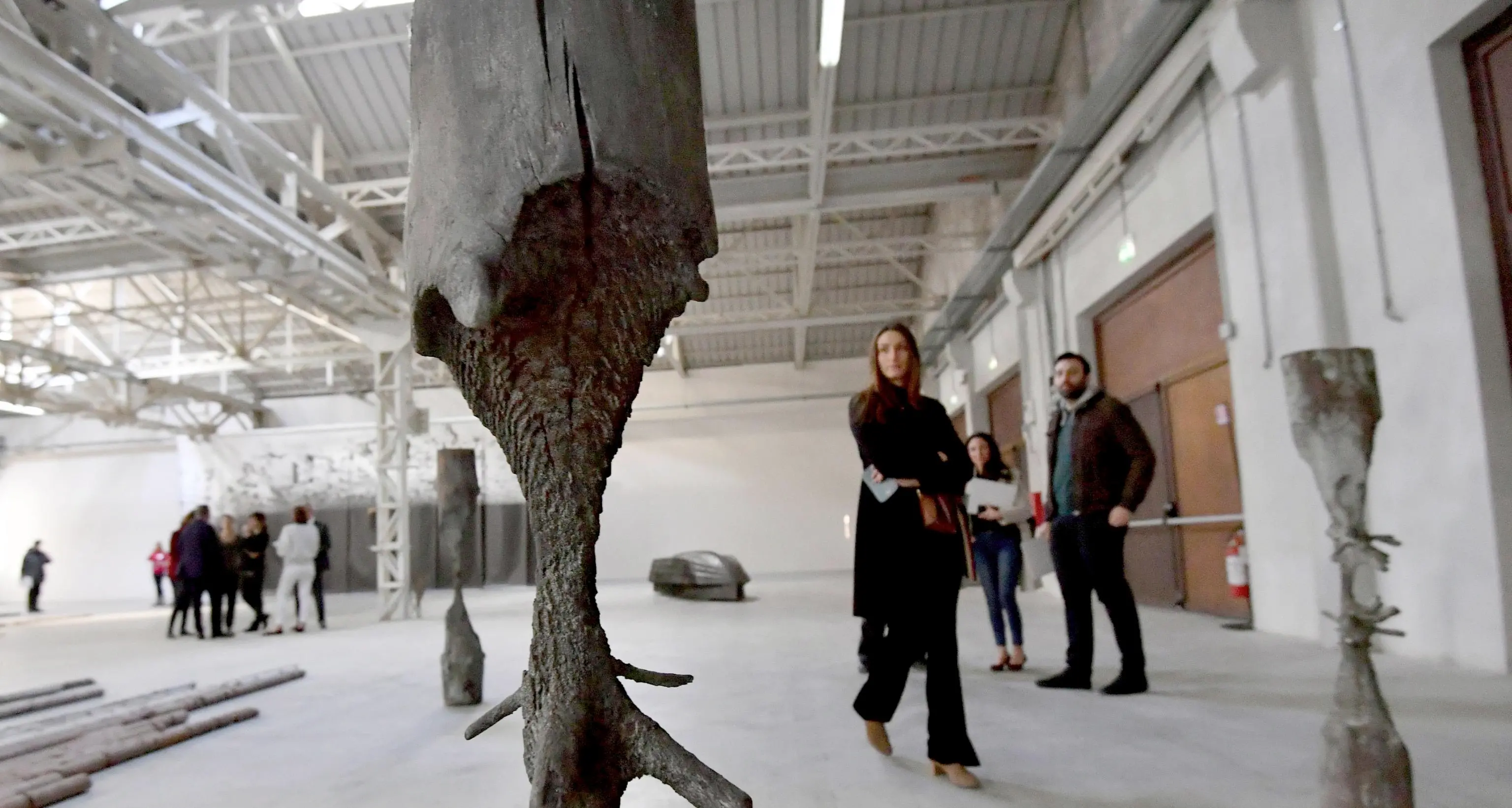 Dai fondali del mare al cielo di Milano: Andreotta Calò all'Hangar Bicocca
