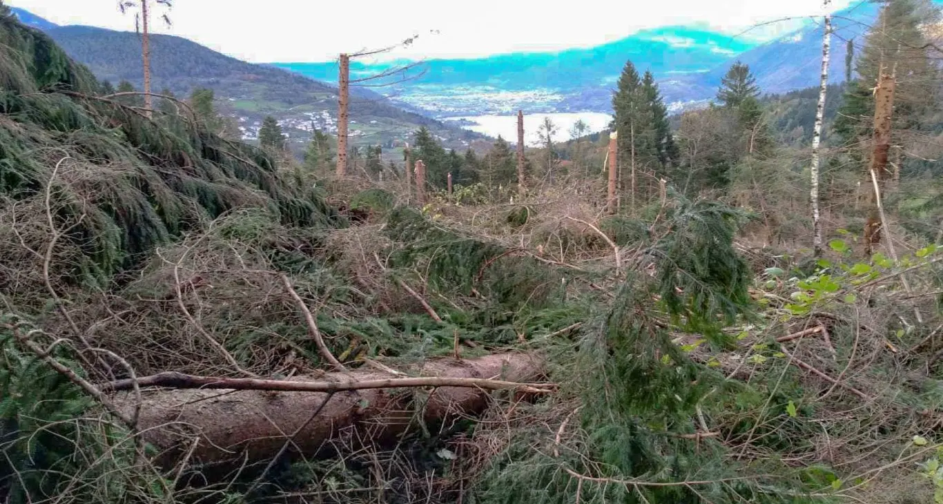 Tempesta Vaia, conto da 400 milioni Da Roma ne arriveranno 270