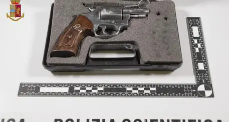 Bolzanino arrestato con coca e revolver
