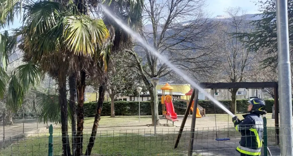 Quattro palme in fumo Vigili del fuoco al lavoro a Dro