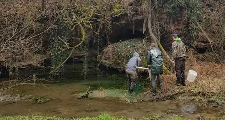Scaricò i liquami nel rio di San Romedio, strage di trote: ora va a processo