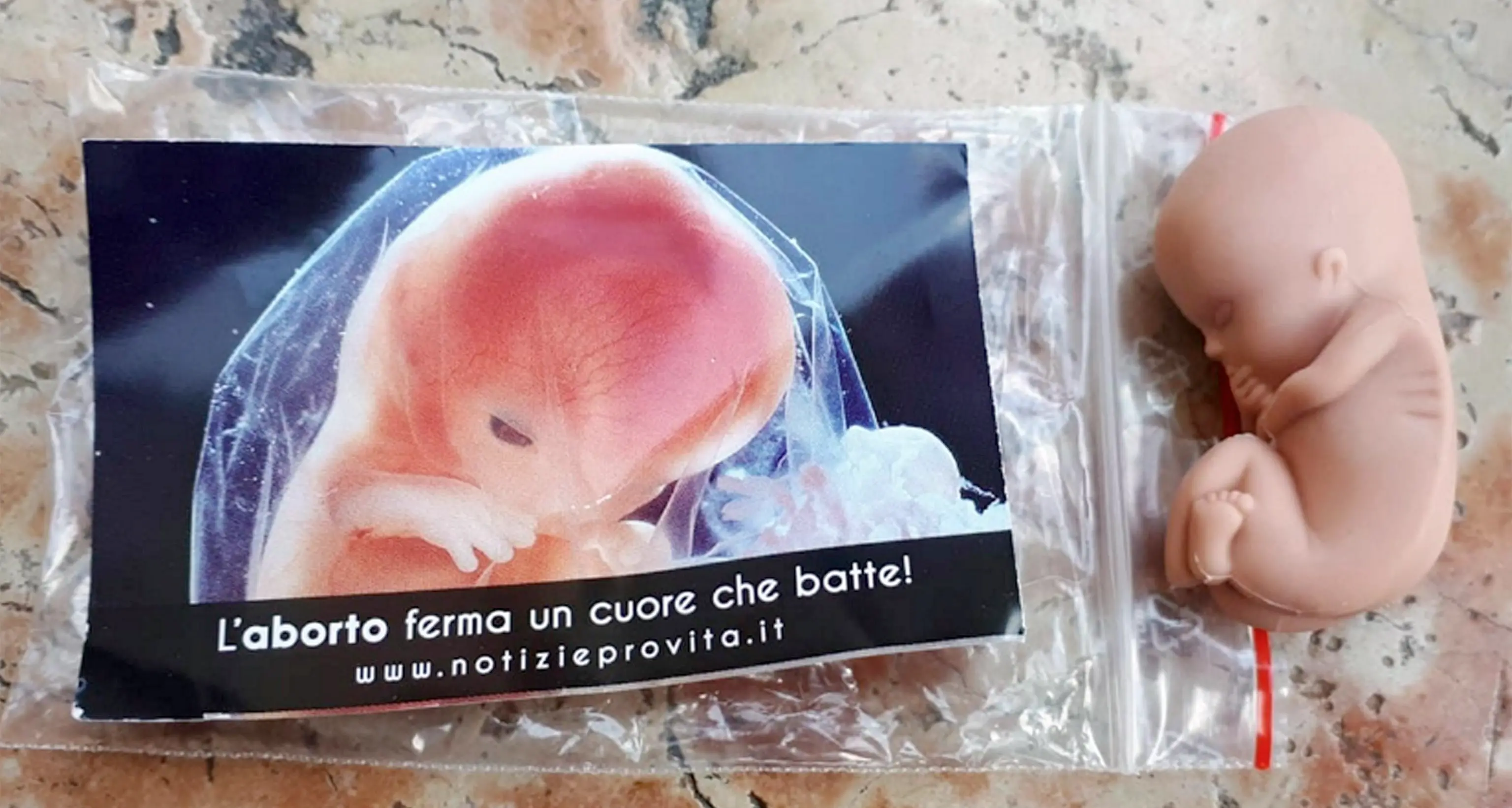 Centinaia di trentini al corteo blindato Misure di sicurezza eccezionali a Verona