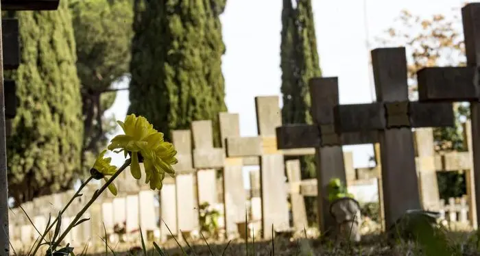 Cani e gatti sepolti insieme ai loro padroni: ok alla legge