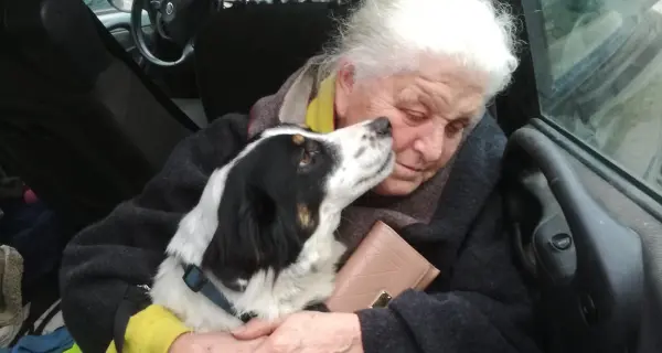 Capriana, ritrovata Turchese la cagna che era scappata dopo otto giorni nei boschi