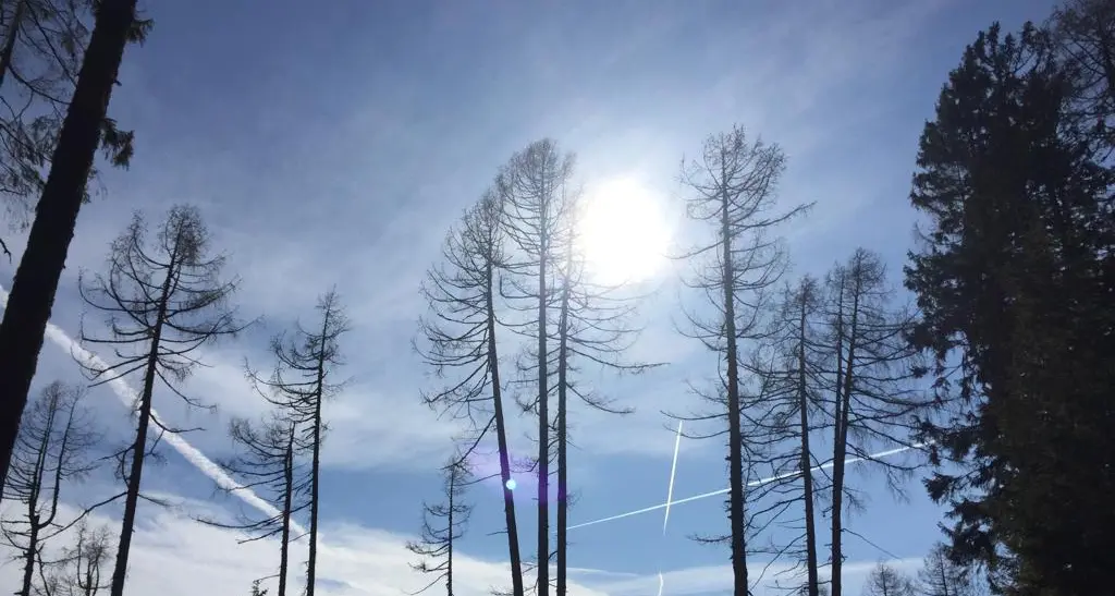 L'esperto di fisica dell'atmosfera: «Dobbiamo essere pronti a un'altra Vaia le catastrofi vanno studiate per capirle»