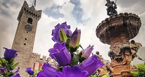 Per la Fiera di San Giuseppe tanta gente ma niente ressa Alla grande la Mostra dell'Agricoltura