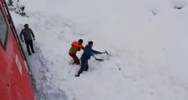 Ferrovieri austriaci salvano un camoscio sepolto dalla neve