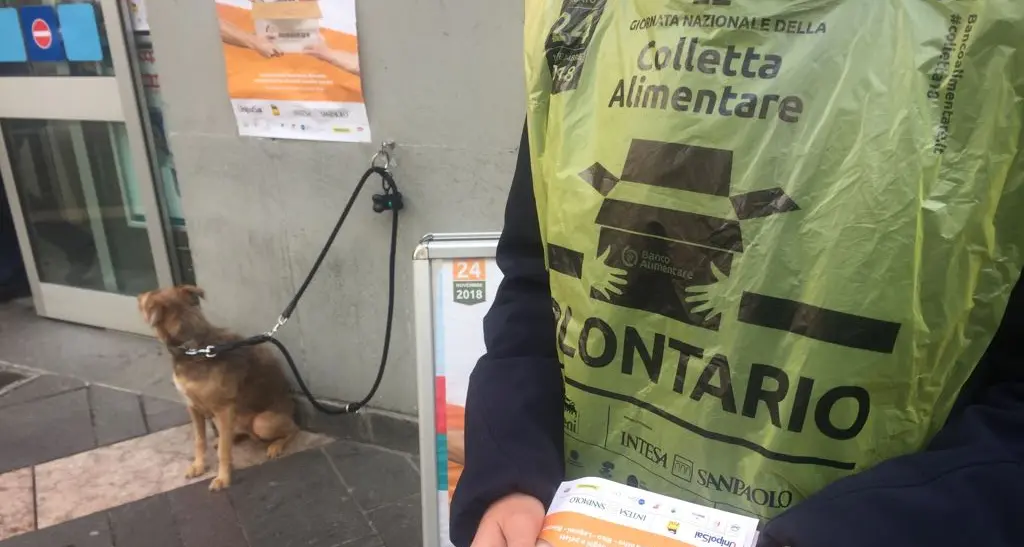 Procede in 300 supermercati la «colletta alimentare»