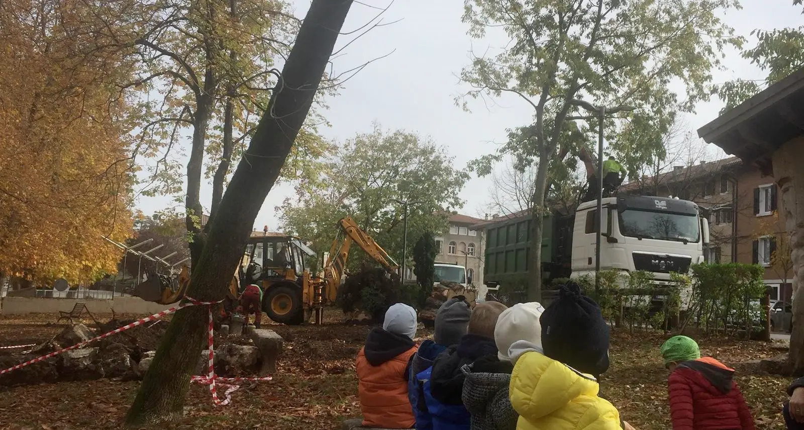 Brentonico, l'albero caduto arreda il nido