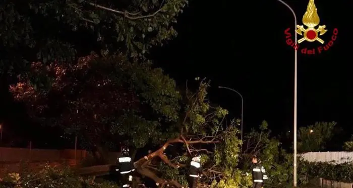 Palermo, 9 morti annegati nell'esondazione del fiume