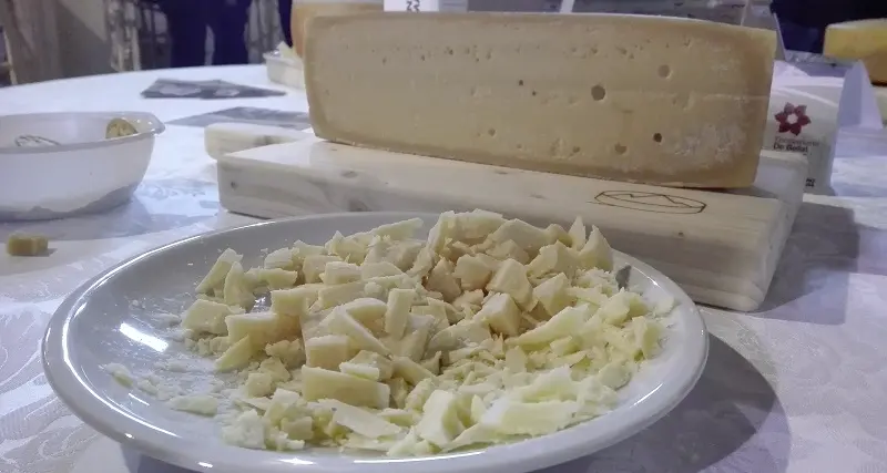Eletti migliori formaggi di malga quelli di Zottele e Borgogno