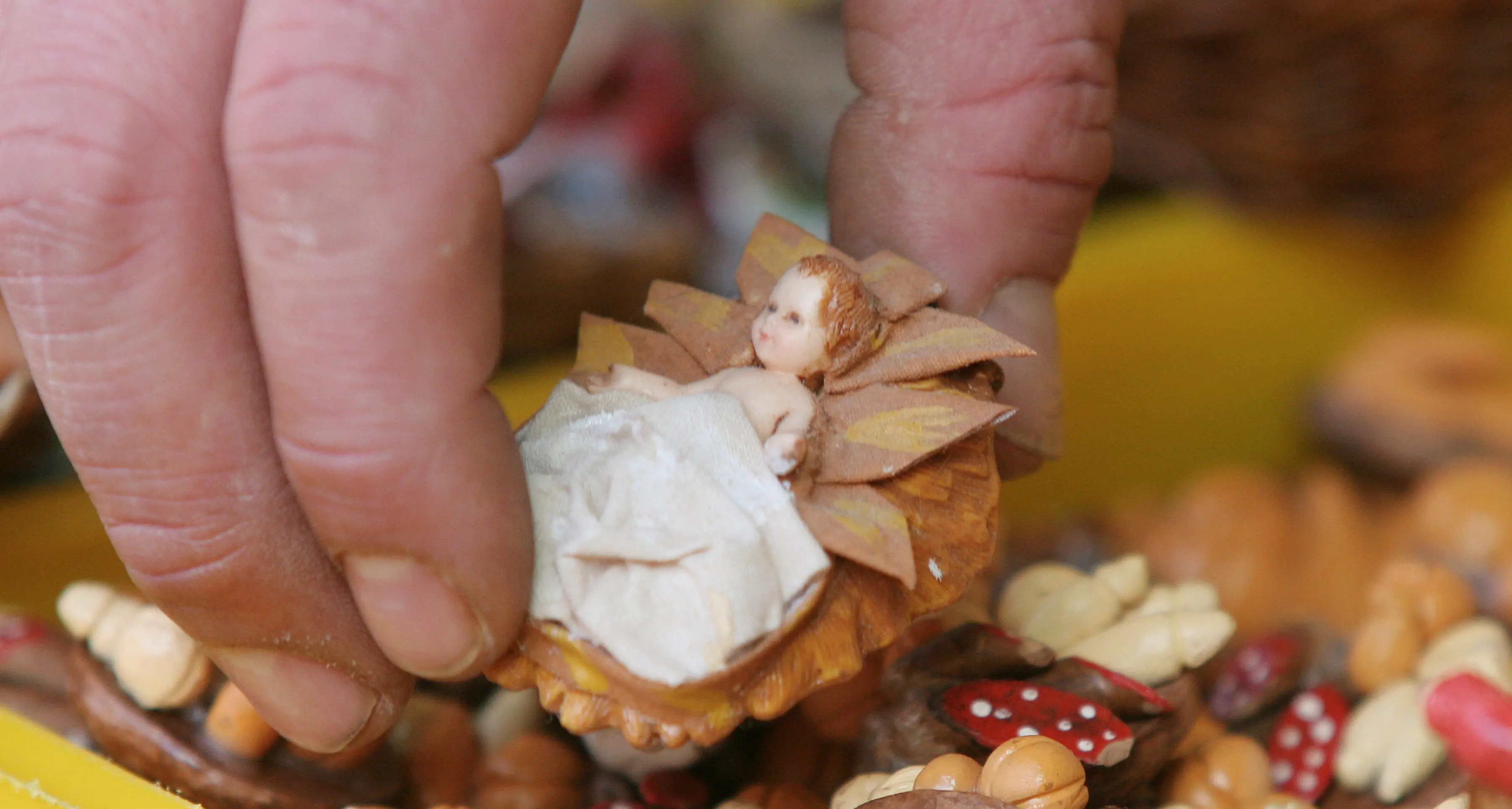 Rubate le statuine del presepe nel bosco