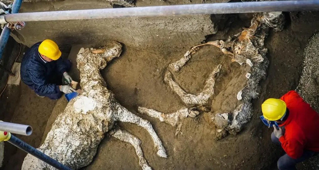 Pompei: ecco il cavallo del generale in fuga
