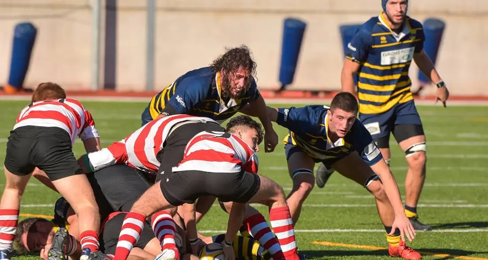 Rugby, la capolista Trento va all'assalto dei Leoni del Nord Est